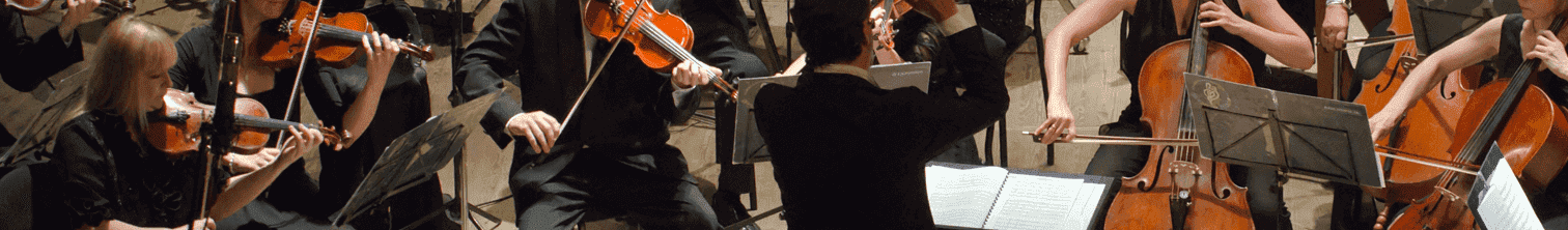 Instrumentos de arco